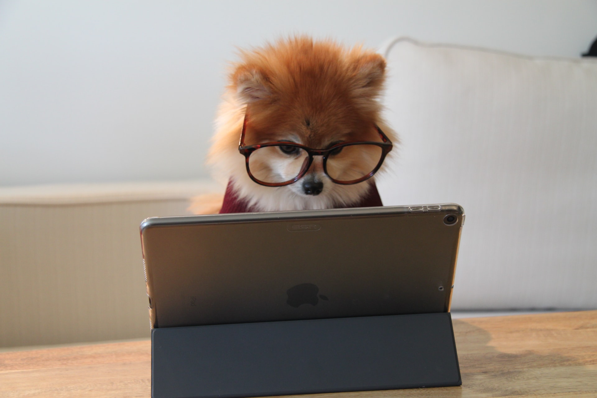 What Are The Principal Types of Web-Based APIs?